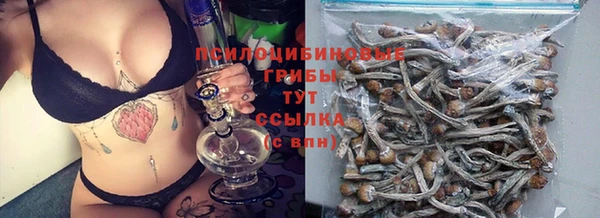 ешки Аркадак