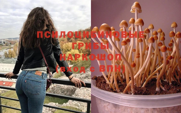spice Балахна