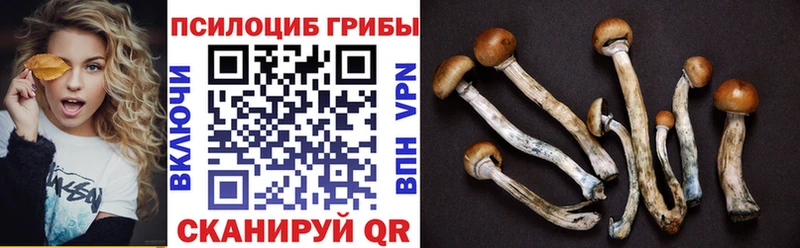 Галлюциногенные грибы мухоморы  МЕГА   Новодвинск 